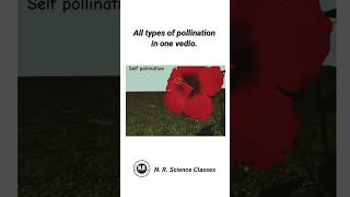 All types of pollination in one video biology science shorts [upl. by Cila383]