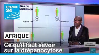 Drépanocytose maladie génétique le tueur silencieux en Afrique • FRANCE 24 [upl. by Kenric]