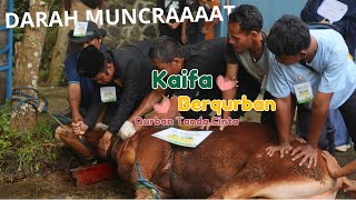 KAIFA BERQURBAN 2024 [upl. by Schwejda312]