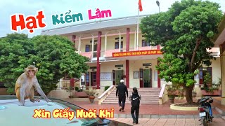 Đi Gần 40km Để Xin Giấy Phép Nuôi Khỉ Nhưng Kết Quả Không Như Mong Đợi  Quế Nghịch [upl. by Aikemal]