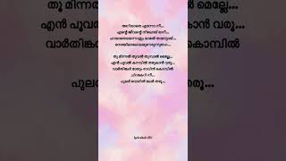 Thoominnal thooval❤️✨shorts malayalamlyrics moviesong songlyrics malayalmsongs lovesong [upl. by Atteval]