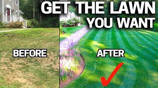 How to FIX an UGLY Lawn with RESULTS  Step by Step for Beginners EASY [upl. by Caldera]