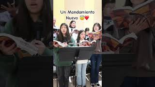 Un Mandamiento Nuevo cantoscatolicos alabanzas musica shortvideo cantosalegres [upl. by Leamaj]