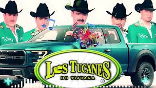 Los Tucanes de Tijuana 🔶Lo Mejor de los Corridos Bravos 💥 26 Éxitos Corridos Pesados Mix🎀🎀 [upl. by Elletnahc155]