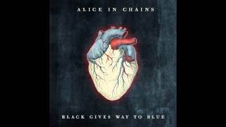 Alice in Chains  Your Decision [upl. by Mil]