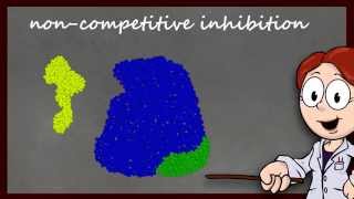 Enzyme Function and Inhibition [upl. by Madeleine]