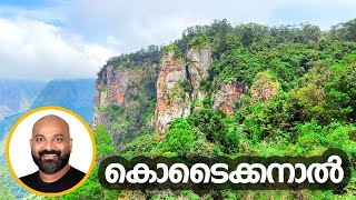 കൊടൈക്കനാലിൽ കണ്ടിരിക്കേണ്ട സ്ഥലങ്ങൾ  Mustvisit tourist places in Kodaikanal  Travel Guide [upl. by Yzzik148]