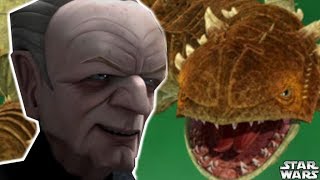 What Happened To The Zillo Beast After the Clone Wars  Star Wars Explained [upl. by Robison766]