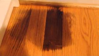 Remove pet urine on hardwood floor [upl. by Nolram595]