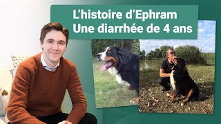 Diarrhée chien  Après 4 ans a avoir essayé toutes les croquettes [upl. by Annahsed]