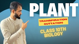 Excretion In Plants  Transpiration  Guttation  Class 10th Biology  Basharat Ali Lectures [upl. by Adranoel]