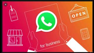 Come usare lo stato di Whatsapp Business [upl. by Nywde794]