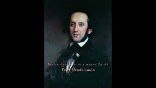 Felix Mendelssohn Violin Concerto in e minor Op64 classicalmusic 커피타임 산책 mendelssohn violin [upl. by Rhu796]