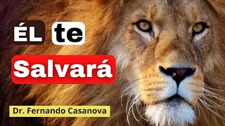 ¿Qué significa el León de la Tribu de Judá y qué tiene que ver contigo  Apocalipsis y Evangelio [upl. by Trudnak473]