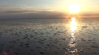 Walking 7 kilometres into the North Sea during low tide [upl. by Hplodur]