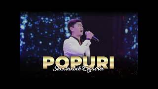 Shoxrux Ergashev  Popuri 2024xit terma newmusic music remix shoxruxergashev top trend [upl. by Wistrup]