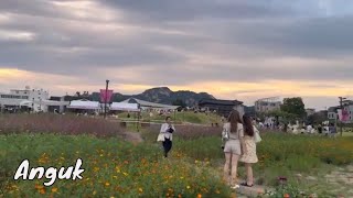 Exploring Koreas Charming Traditional Streets Insadong Market [upl. by Farrow]