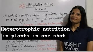 Heterotrophic nutrition in plants science sciencefacts education study [upl. by Selena779]