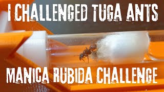 I challenged TugaAnts to the Manica Rubida challange Part1 [upl. by Eerahs122]