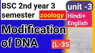 Bsc 2nd year 3semster zoology topic Modification of DNA [upl. by Munniks802]