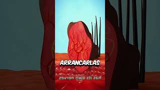 NO SAQUES LA VERRUGA sabiasque arcade sabias humor shorts CREDITOS ZACK D FILMS [upl. by Einitsed1]