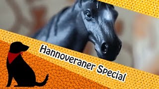 SONDERMODELL Hannoveraner Hengst 2015 HD [upl. by Anaic287]