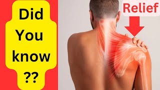 Neck amp Shoulder Stretches For Instant Pain Relief [upl. by Yerot523]