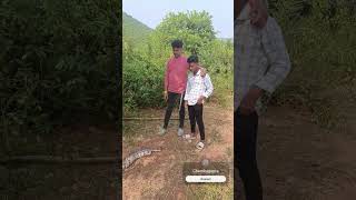 Dekhantu samaste nichatia jaga Rode side re bahut bada snake samastanku Mora anurodh dekhiki [upl. by Oirretna]