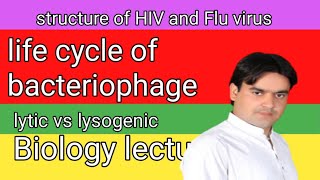 structure of HIVAIDS and Flu virus  life cycle of bacteriophage [upl. by Otreblon]