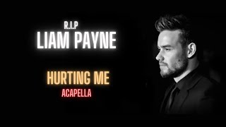 Liam Payne Hurting Me Acapella  Vocals Only [upl. by Pinkham750]