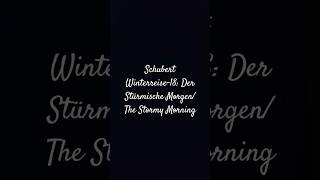 Schubert Winterreise18 Der Stürmische MorgenThe Stormy Morning classicalmusic schubert [upl. by Roose]