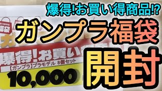 ガンプラ福袋開封！駿河屋の10000円ガンプラ福袋を開封しました！ガンプラ福袋開封 ガンダム駿河屋 [upl. by Annerahs608]