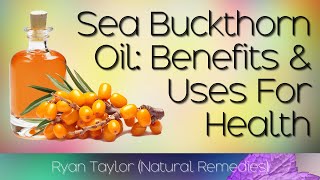 Sea Buckthorn Benefits and Uses [upl. by Stoddard279]