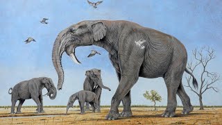 Deinotherium  Prehistoric Elephants [upl. by Mylor]