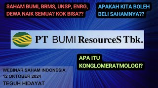 Saham Grup Bakrie Mendadak Terbang Kok Bisa [upl. by Otir]