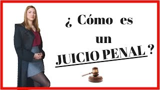 JUICIO PENAL  EXPLICACIÓN  GRABACIONES REALES  El Derecho claro [upl. by Attenna956]