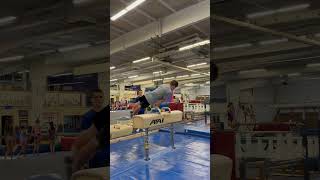 Pommel Horse Flop Work [upl. by Aidaas]