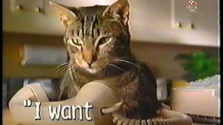 Meow Mix  Television Commercial  1999 [upl. by Nnyleuqaj]