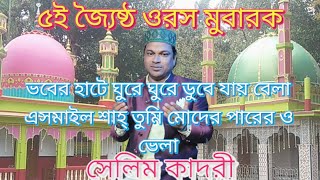 ভবের হাটে ঘুরে ঘুরে ডুবে যায় বেলা । এসমাইল শাহ্ তুমি মোদের পারের ও ভেলা । শিল্পী  সেলিম কাদরী [upl. by Garlan]