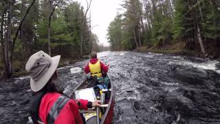 Paddling down the Bonnechere River  Algonquin Park [upl. by Alicirp]