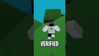 I Got Verified on Roblox [upl. by Chev]