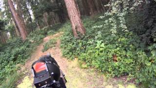 Long range airsoft shooting 200 feet [upl. by Lunette]