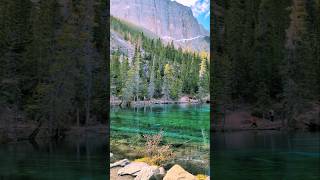 Places that dont feel real Grassi Lakes  Kananaskis🇨🇦 shorts travel [upl. by Michaele856]