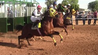 Carreras de Caballos en El Hipódromo de Rayón 14 de Abril 2017 [upl. by Ibmat243]