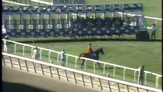 1990 Turf Classic S  Cacoethes [upl. by Tellford]