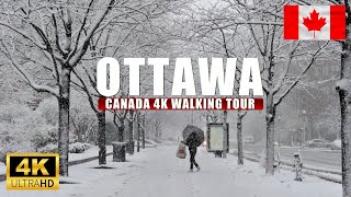 Ottawa Canada Winter Dec 2024 First Snow 4K Walking tour [upl. by Eissak839]