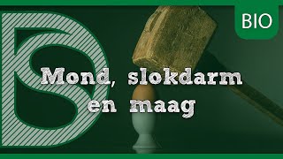 Examen biologie  Mond slokdarm en maag Stofwisseling mensen [upl. by Innattirb696]