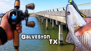 Best Bridge Fishing in Galveston Texas [upl. by Bautram298]