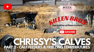 Killen Bros  Chrissy’s Calves  Part 2  Calf Feeders amp Freezing Temperatures [upl. by Linis]