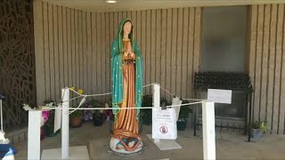 Our Lady of Guadalupe Attacked and Restored in California [upl. by Ellatsyrc527]